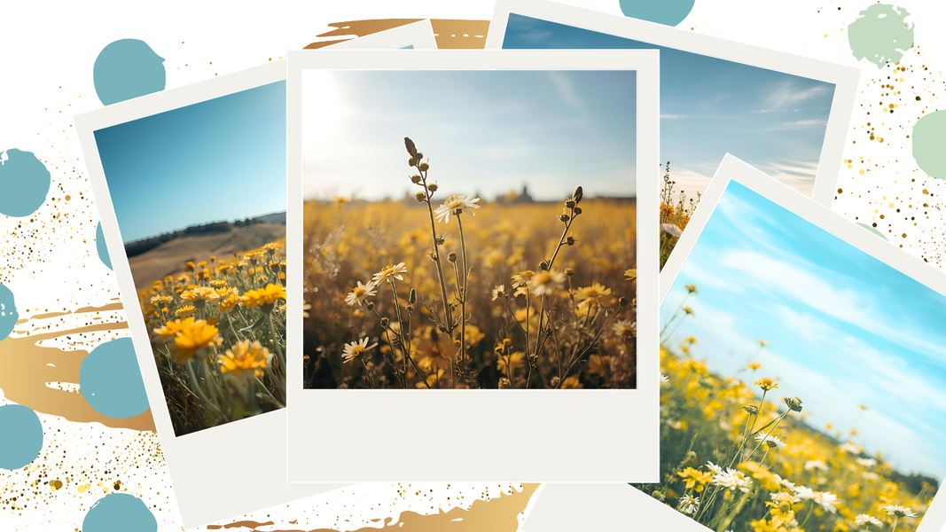 Vibrant landscape featuring a river surrounded by colorful hills and blooming pink flowers under a blue sky.