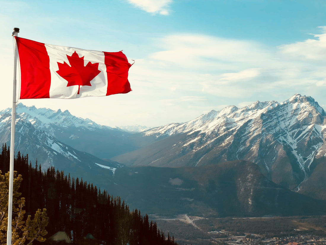 Canadian Wildfires – How You Can Help
