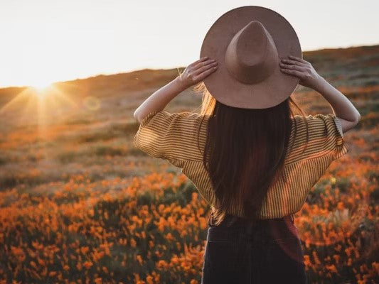 Womb + Feminine Wisdom Collection